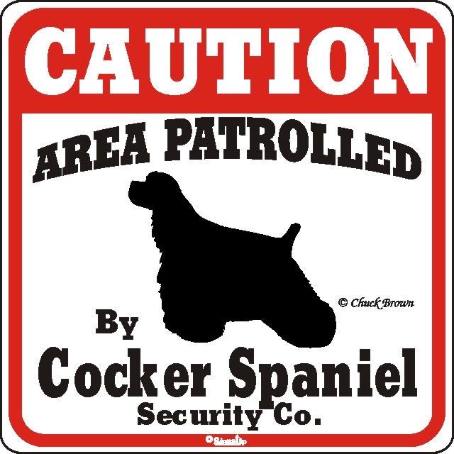 Skylt, Caution – Amerikansk cocker spaniel