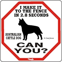 Skylt, 2.8 seconds – Australian cattledog
