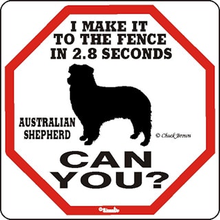 Skylt, 2.8 seconds – Australian shepherd