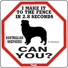Skylt, 2.8 seconds – Australian shepherd