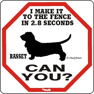 Skylt, 2.8 seconds – Basset hound