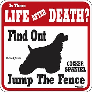 Skylt, Is there Life after Death? – Amerikansk cocker spaniel