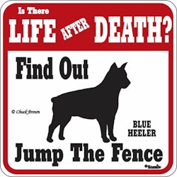 Skylt, Is there Life after Death? – Blue Heeler