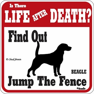 Skylt, Is there Life after Death? – Beagle