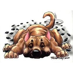 Dekal, Rug dig – American staffordshire terrier