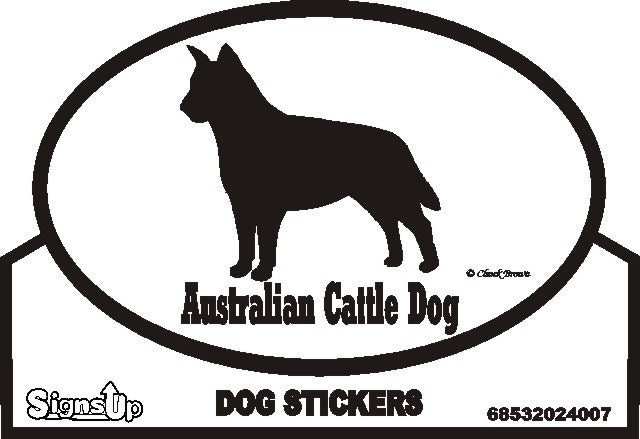 Dekal, Euro – Australian cattledog