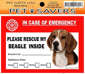 Dekal, In case of emergency – Beagle