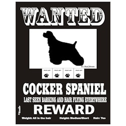Skylt, Wanted – Amerikansk cocker spaniel