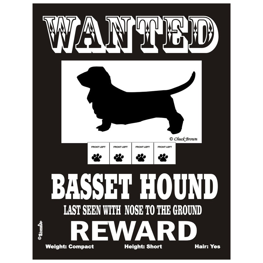 Skylt, Wanted – Basset hound