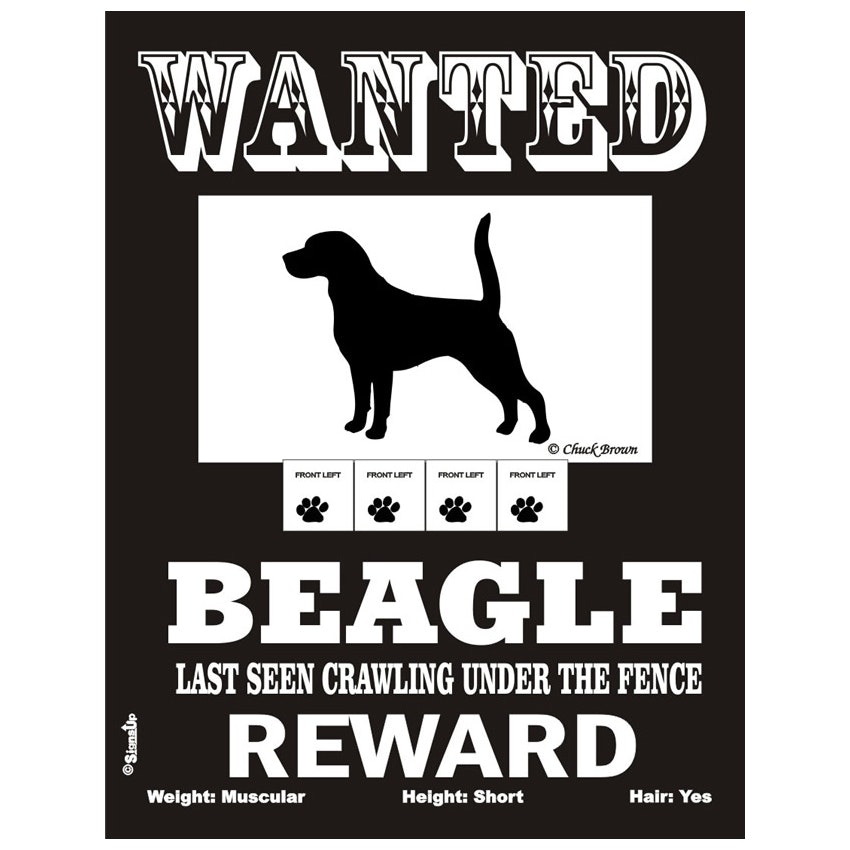 Skylt, Wanted – Beagle