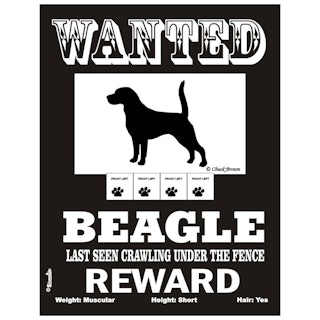 Skylt, Wanted – Beagle