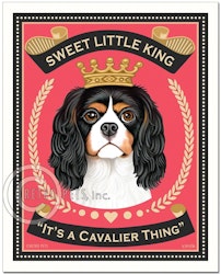 Konsttryck Krista Brooks, Sweet Little King – Cavalier king charles spaniel