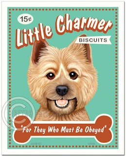 Konsttryck Krista Brooks, Little Charmer – Cairnterrier