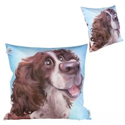 Kudde, Pets with Personality – Engelsk springer spaniel