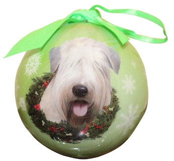 Julkula – Irish softcoated wheaten terrier