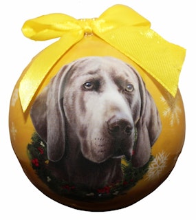 Julkula – Weimaraner