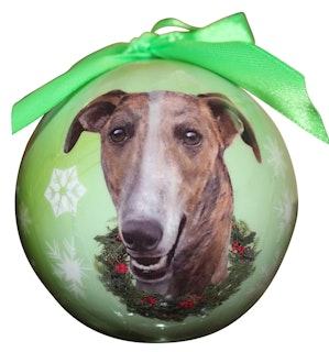 Julkula – Greyhound, brindle