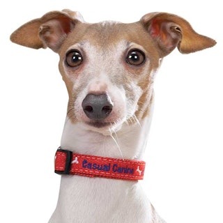 Halsband Casual Canine Denim