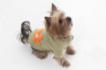Hundtröja, Puchi – Pretty Petal, grön M
