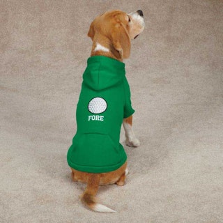 Hundtröja, hoodie – Fore