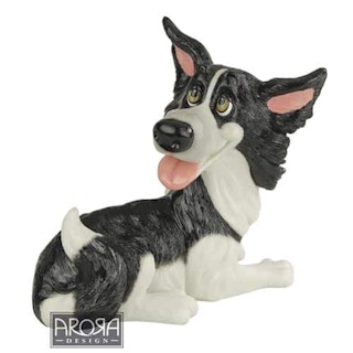 Figurin Arora, Brook – Border collie