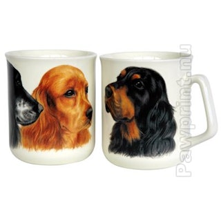 Mugg – Cocker spaniel