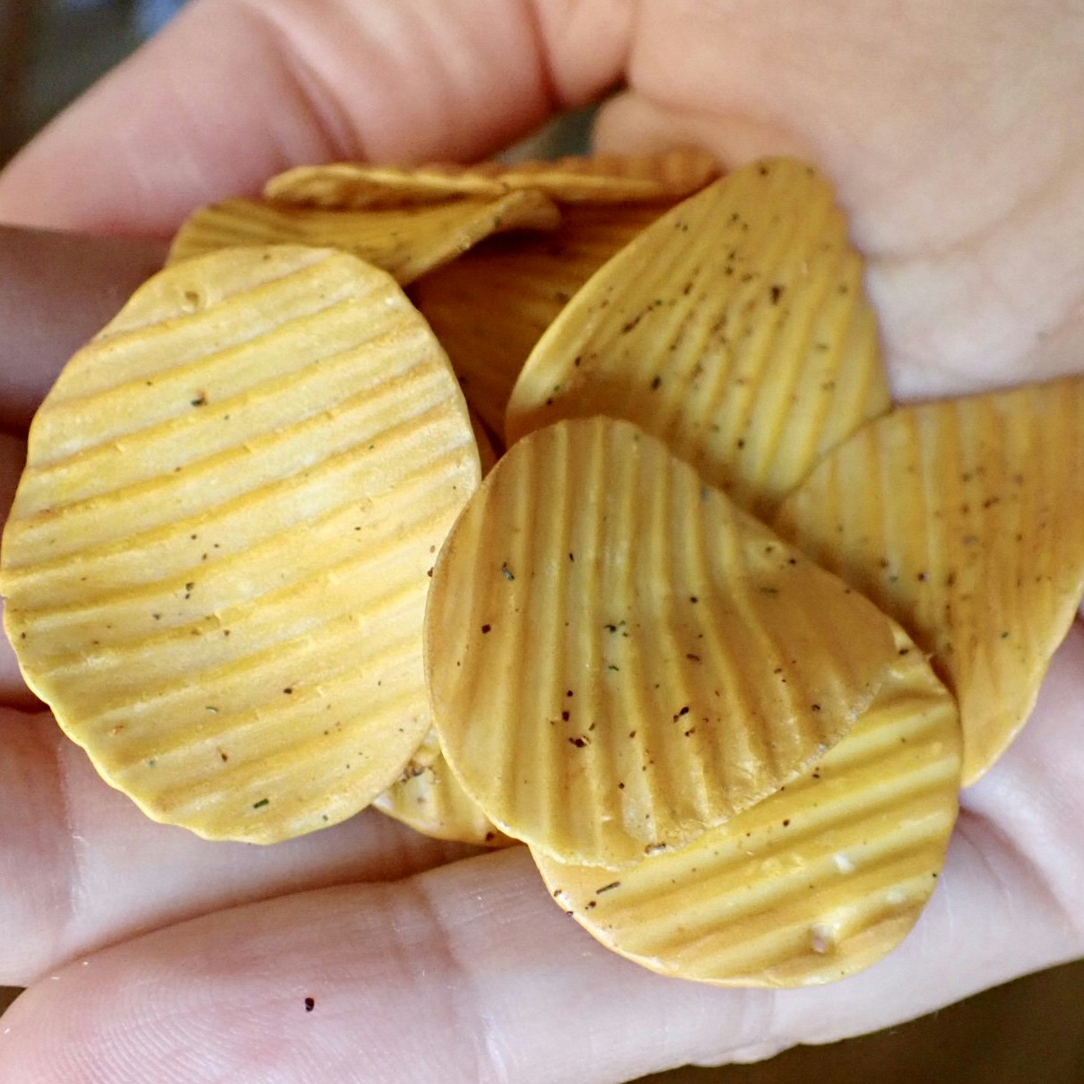 Chips-Ohrringe aus Silber / Gold-Creolen