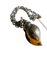 Halsband med stor snäcka