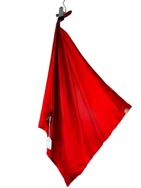 Röd sidenscarf