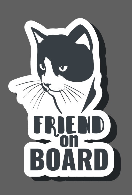 Friend on board (Katt)