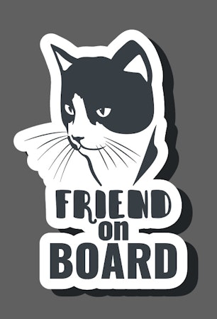 Friend on board (Katt)