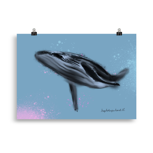 Whaley beautiful knølhval