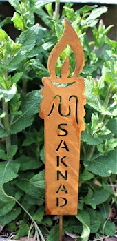 Ljus saknad