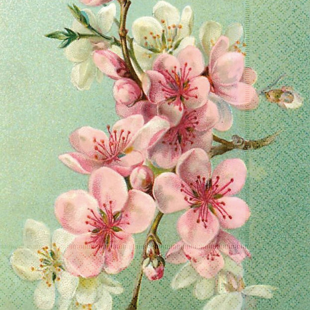 Servett Sakura