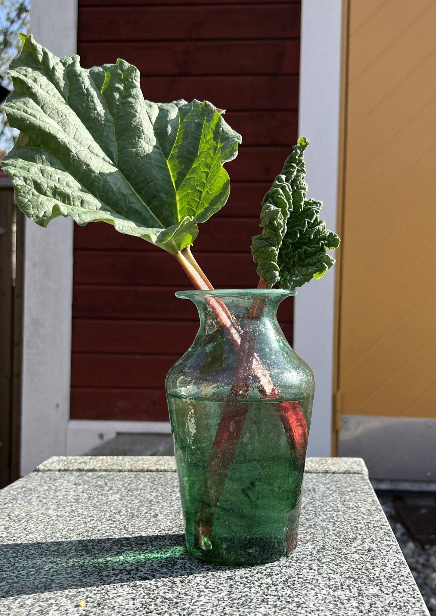 Violetta Vas Mintgröna M