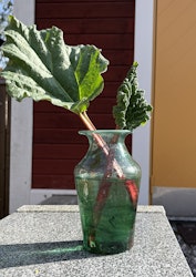 Violetta Vas Mintgröna M
