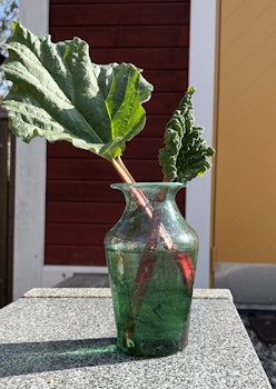 Violetta Vas Mintgröna M