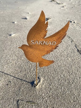 Duva Saknad