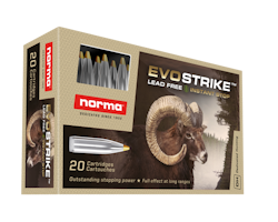 Norma Evostrike .308 9g