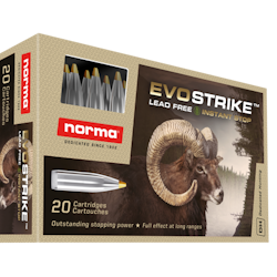 Norma Evostrike .308 9g