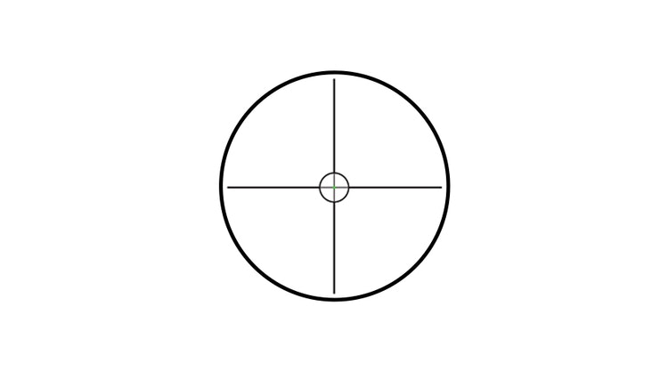 Trijicon AccuPoint 1-6x24