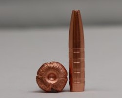 CopperBear .308 Win 166gr / 10,7gram