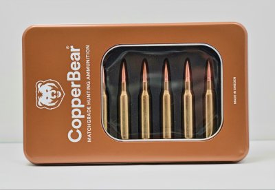 CopperBear .308 Win 166gr / 10,7gram