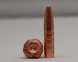CopperBear .30-06 184gr / 12,0gram