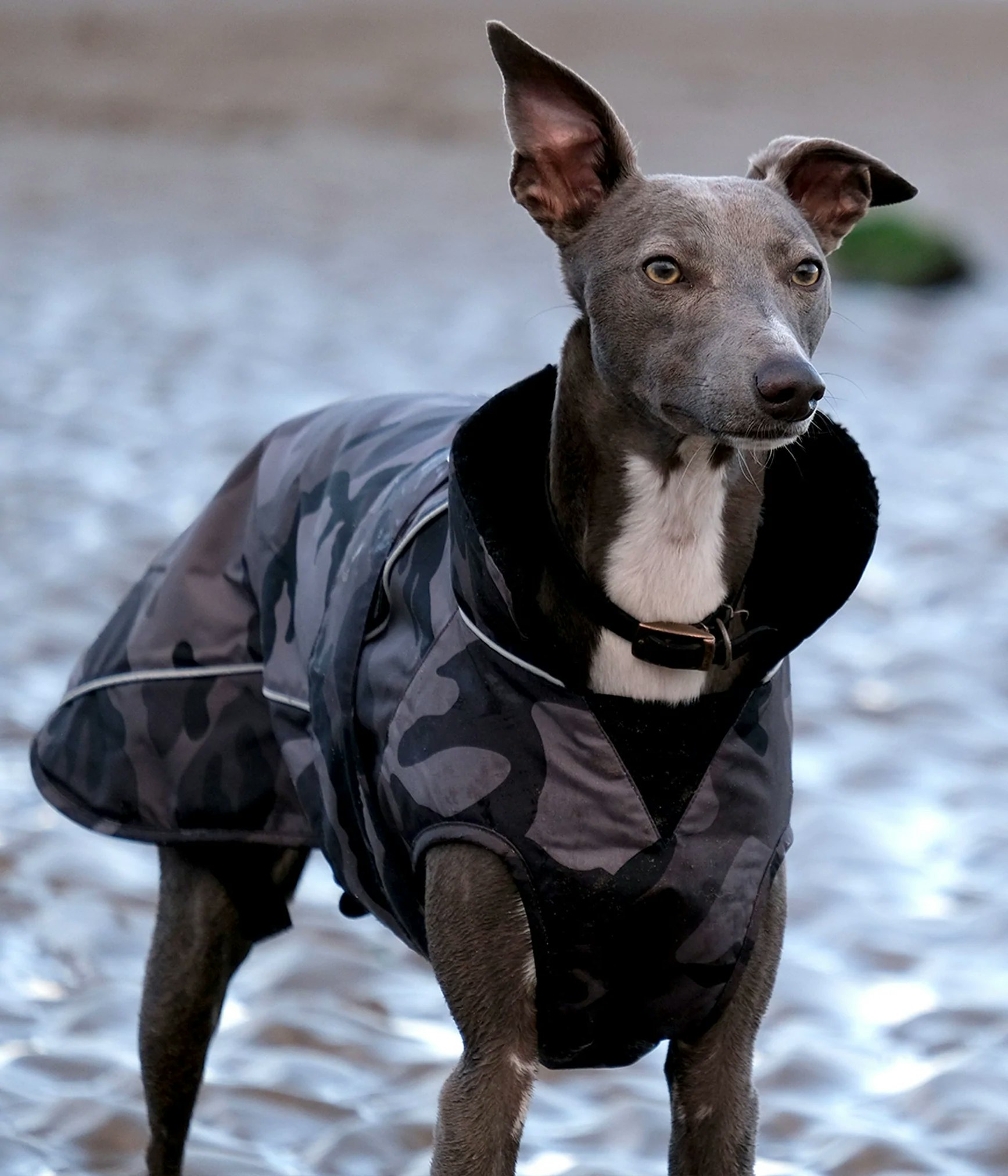 dryrobe® Dog - Black Camo / Black