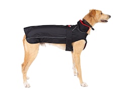 dryrobe® Dog - Black / Red