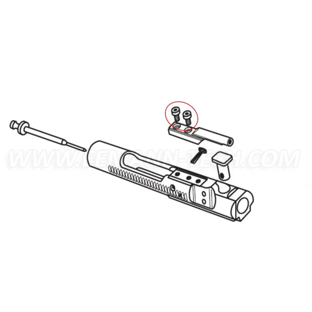 Eemann Tech Bolt Carrier Key Screw for AR-15 (2pcs)