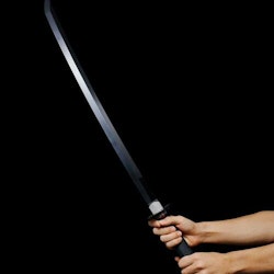 Demon Slayer: Kimetsu no Yaiba Proplica Replica 1/1 Nichirin Sword Tanjiro Kamado (Tamashii Nations)