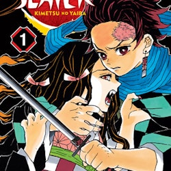Demon Slayer: Kimetsu no Yaiba vol. 1 (Viz Media)