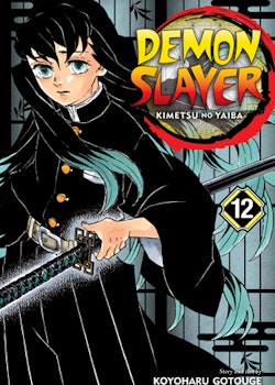 Demon Slayer: Kimetsu no Yaiba vol. 12 (Viz Media)